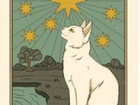 Look up. Look down. Look all&nbsp;around.