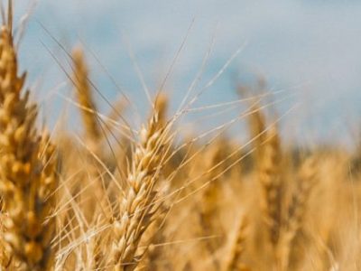 When the river meets the&nbsp;sea.